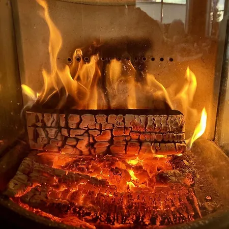 Fjellspurven Tatil Evi