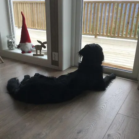 Fjellspurven Tatil Evi *