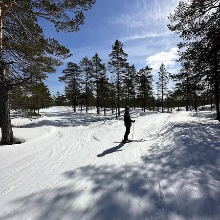 Fjellspurven