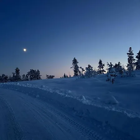 Fjellspurven Vradal