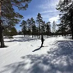 Fjellspurven