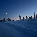 Fjellspurven Vradal