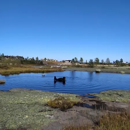 Fjellspurven *