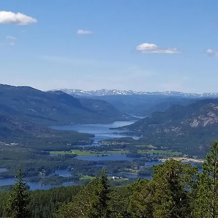 Fjellspurven